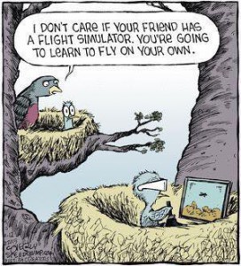 Mommy bird speaking to baby bird: I don't care if your friend has a flight simulator. You're going to learn to fly on your own.