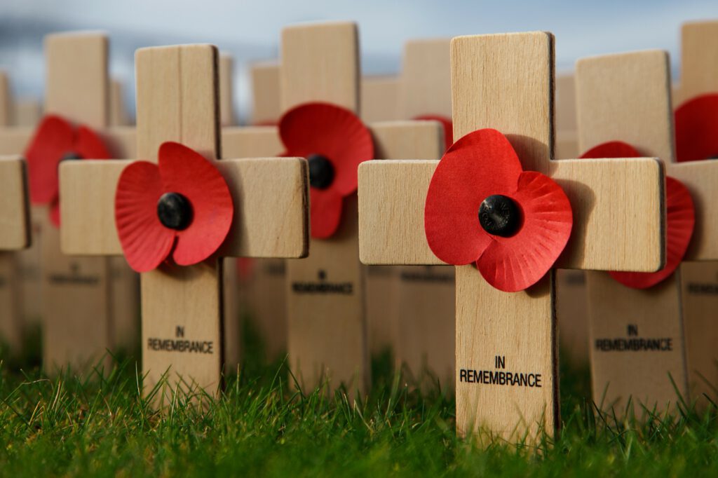 Wooden crosses with poppies on them.