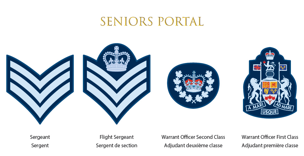 Seniors Portal
